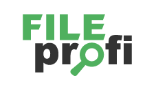 FileProfi - профессиональное восстановление данных в Петрозаводске
